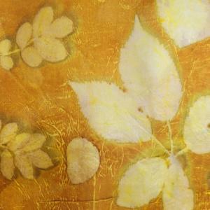 ecoprinten ecoprinting workshop jede viltwerk