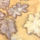 ecoprinten ecoprinting workshop jede viltwerk
