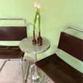 eetkamer-stoelen-martin-breuer-vintage
