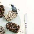 desserts for birds vetbol studio Carmela Bogman